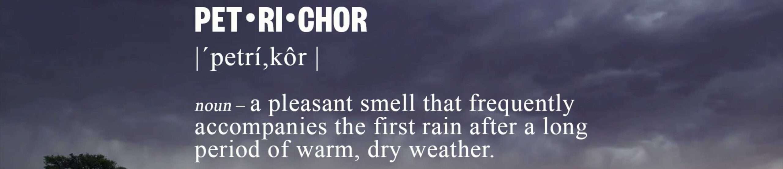pet-ri-chor noun - a pleasant smell that frequently accompanies the first rain after a long period of warm, dry weather.